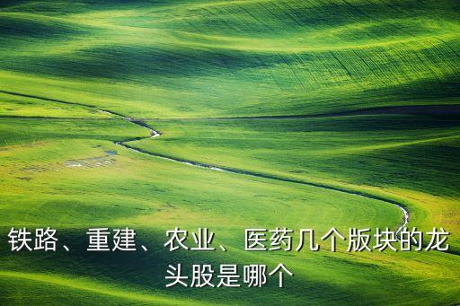 鐵路、重建、農(nóng)業(yè)、醫(yī)藥幾個(gè)版塊的龍頭股是哪個(gè)