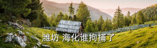 濰坊 ?；l拘捕了