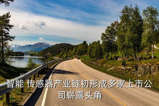 智能 傳感器產業(yè)鏈初形成多家上市公司嶄露頭角