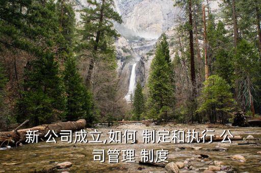 關于制定公司相關制度的議案