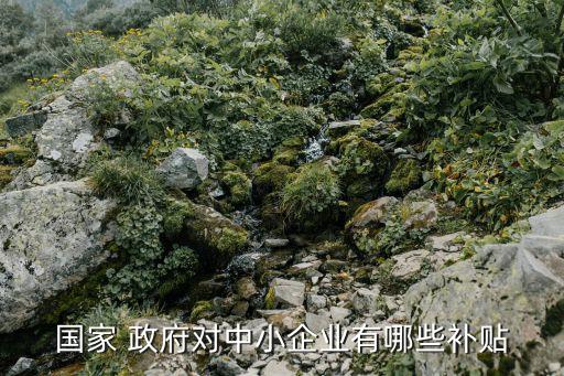 新疆政府產業(yè)引導基金,政府設立產業(yè)引導基金的流程