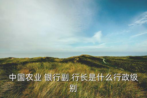 中國農(nóng)業(yè) 銀行副 行長是什么行政級(jí)別