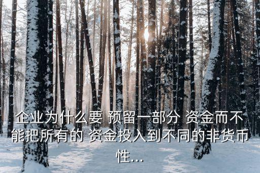 公司預留資金