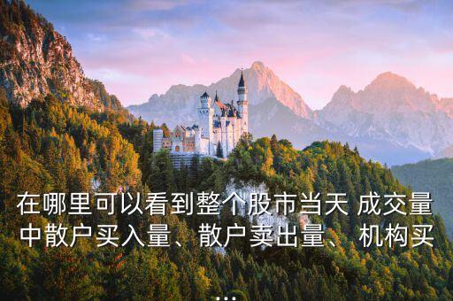 在哪里可以看到整個(gè)股市當(dāng)天 成交量中散戶買入量、散戶賣出量、 機(jī)構(gòu)買...