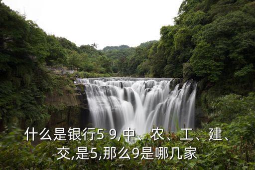 什么是銀行5 9,中、農(nóng)、工、建、交,是5,那么9是哪幾家