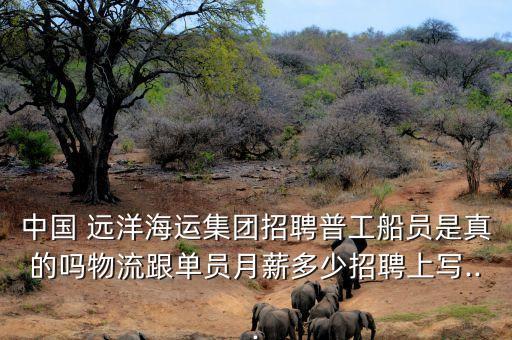 2015中國遠洋有風險嗎