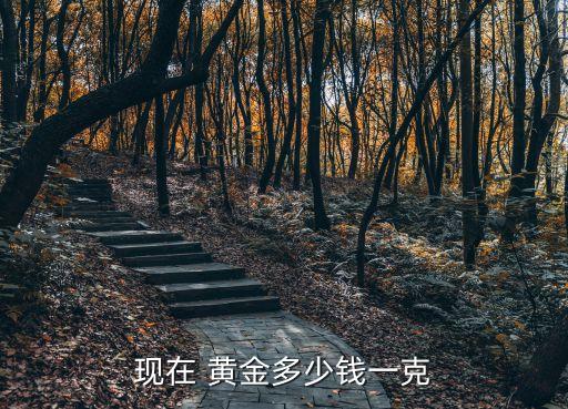 現(xiàn)在 黃金多少錢(qián)一克
