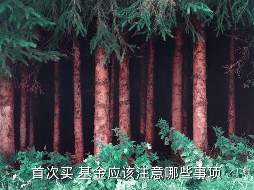 首次買 基金應(yīng)該注意哪些事項(xiàng)