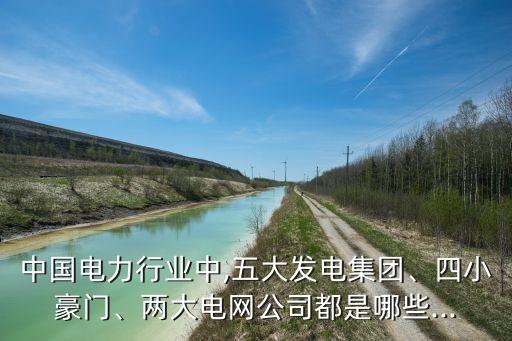 中國電力行業(yè)中,五大發(fā)電集團、四小豪門、兩大電網(wǎng)公司都是哪些...