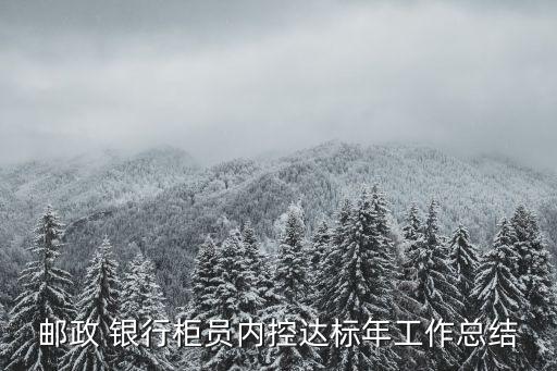 郵政 銀行柜員內(nèi)控達標(biāo)年工作總結(jié)