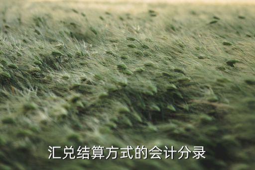 對匯出銀行已經(jīng)匯出的款項,匯出銀行尚未匯出的款項是什么意思