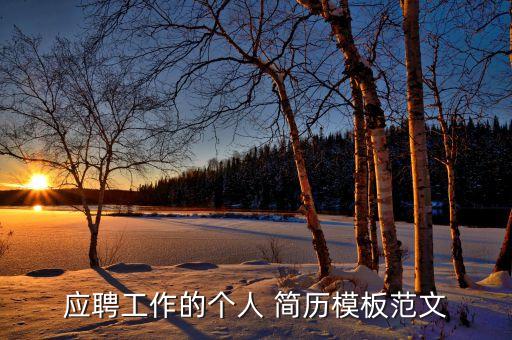 應(yīng)聘工作的個(gè)人 簡歷模板范文