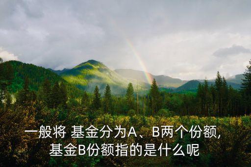 一般將 基金分為A、B兩個份額, 基金B(yǎng)份額指的是什么呢