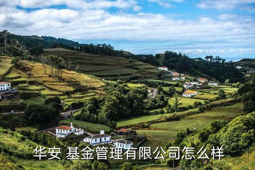 華安當代文化產(chǎn)業(yè)基金