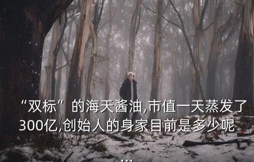 “雙標(biāo)”的海天醬油,市值一天蒸發(fā)了300億,創(chuàng)始人的身家目前是多少呢...