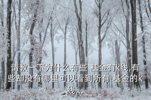 請(qǐng)教一下為什么有些 基金有k線,有些卻沒有哪里可以看到所有 基金的k線...