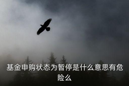  基金申購(gòu)狀態(tài)為暫停是什么意思有危險(xiǎn)么