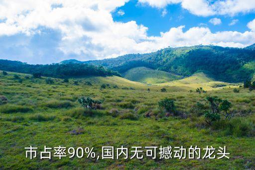 市占率90%,國內(nèi)無可撼動(dòng)的龍頭