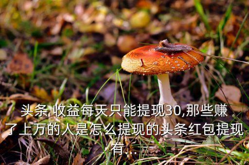 頭條 收益每天只能提現(xiàn)30,那些賺了上萬的人是怎么提現(xiàn)的頭條紅包提現(xiàn)有...