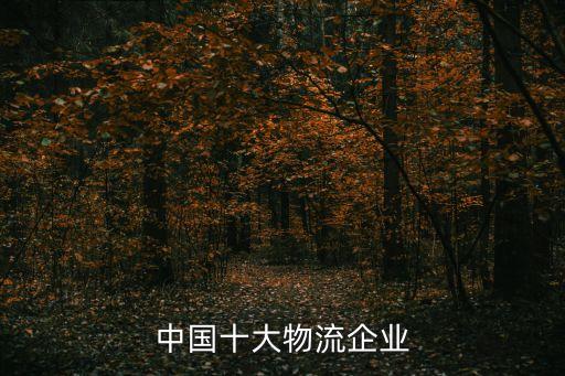 中國十大物流企業(yè)