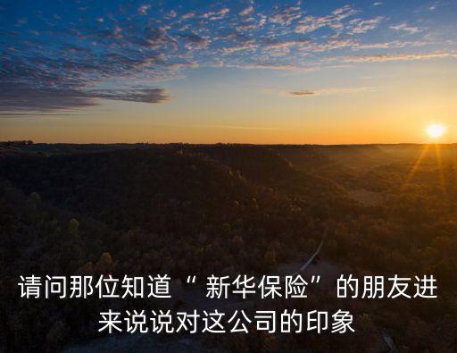 請(qǐng)問那位知道“ 新華保險(xiǎn)”的朋友進(jìn)來說說對(duì)這公司的印象
