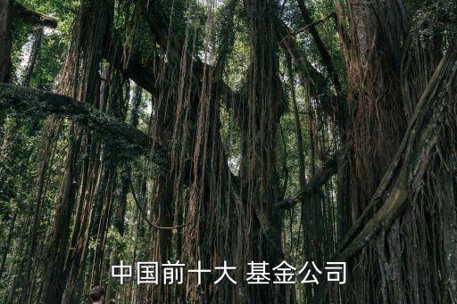 中國(guó)前十大 基金公司