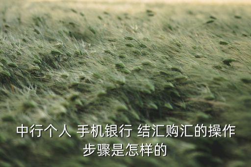 中行個人 手機(jī)銀行 結(jié)匯購匯的操作步驟是怎樣的