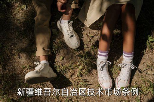  新疆維吾爾自治區(qū)技術市場條例