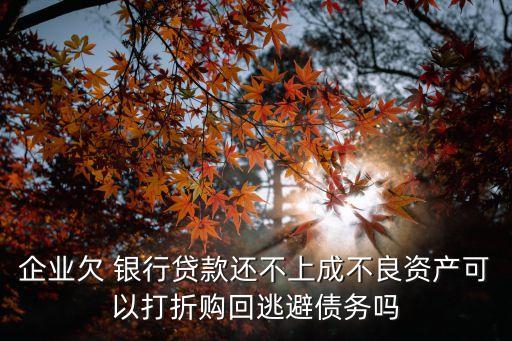 企業(yè)欠 銀行貸款還不上成不良資產(chǎn)可以打折購回逃避債務(wù)嗎