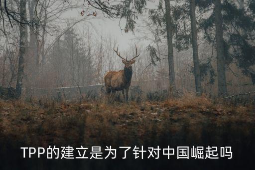 tpp對(duì)中國(guó)的積極影響