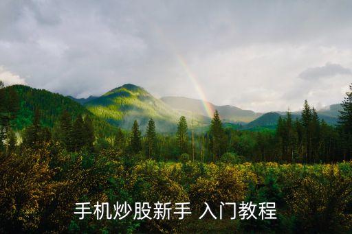 手機炒股新手 入門教程