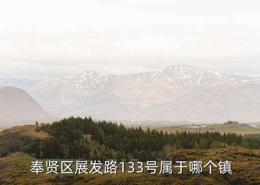 上海城投奉賢,奉賢城投公司總經理
