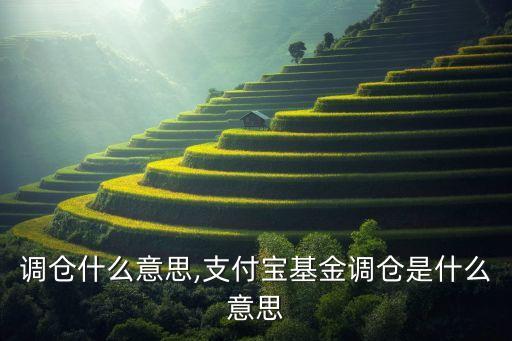 基金調倉什么意思,支付寶基金調倉是什么意思