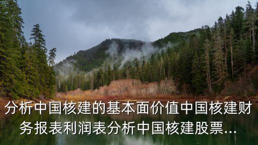 分析中國核建的基本面價(jià)值中國核建財(cái)務(wù)報(bào)表利潤表分析中國核建股票...