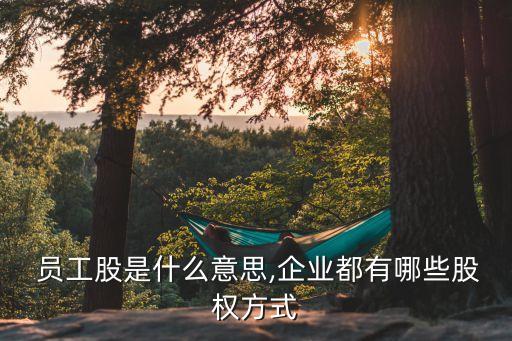  員工股是什么意思,企業(yè)都有哪些股權方式