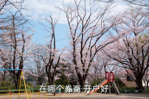 同花順開(kāi)戶(hù)用哪個(gè)證券公司好,手機(jī)開(kāi)戶(hù)哪個(gè)證券公司傭金最低
