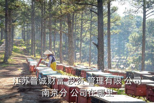 江蘇普誠(chéng)財(cái)富 投資 管理有限 公司 南京分 公司在哪里