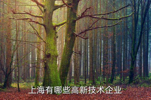 上海戈冉泊精?？萍脊煞萦邢薰?戈冉泊精模科技股份有限公司 曹毅