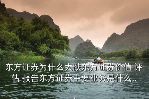 東方證券為什么大跌東方證券價值 評估 報告東方證券主要業(yè)務是什么...