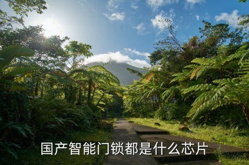 國(guó)產(chǎn)智能門(mén)鎖都是什么芯片