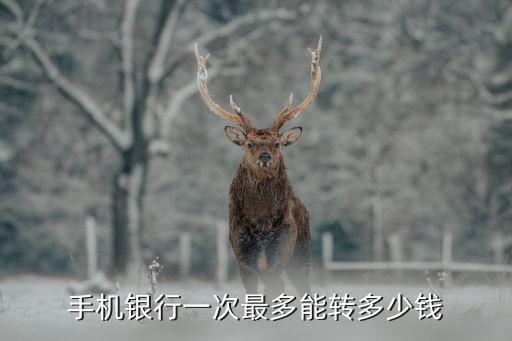 手機銀行一次最多能轉多少錢