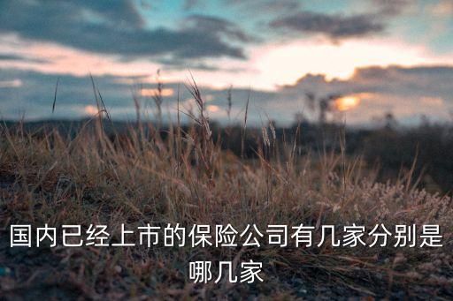 國內(nèi)已經(jīng)上市的保險(xiǎn)公司有幾家分別是哪幾家