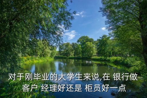 對(duì)于剛畢業(yè)的大學(xué)生來說,在 銀行做 客戶 經(jīng)理好還是 柜員好一點(diǎn)