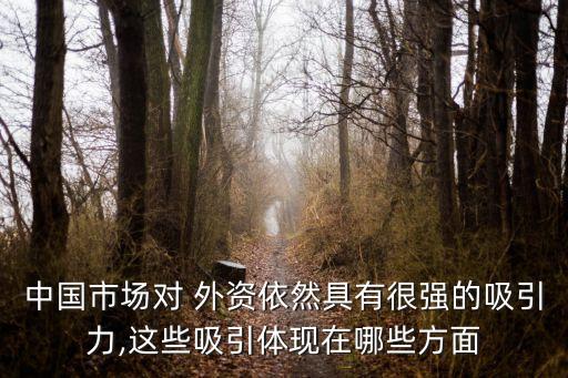 中國市場對 外資依然具有很強的吸引力,這些吸引體現在哪些方面
