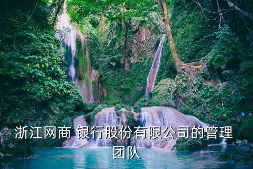浙江網商 銀行股份有限公司的管理 團隊
