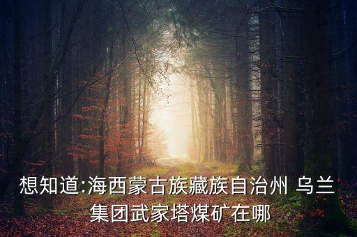關(guān)于烏蘭集團(tuán)董事長(zhǎng)李玉良的女兒,烏蘭集團(tuán)董事長(zhǎng)李玉良有多少錢(qián)