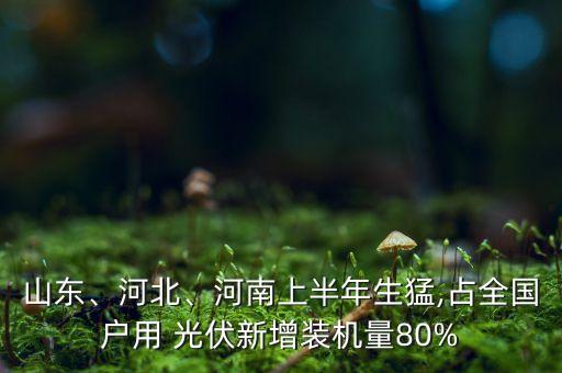 山東、河北、河南上半年生猛,占全國戶用 光伏新增裝機(jī)量80%