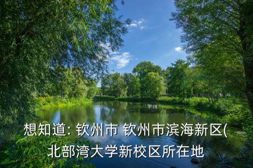 想知道: 欽州市 欽州市濱海新區(qū)(北部灣大學新校區(qū)所在地