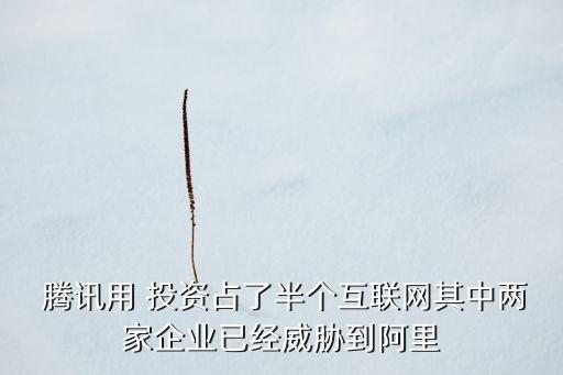  騰訊用 投資占了半個(gè)互聯(lián)網(wǎng)其中兩家企業(yè)已經(jīng)威脅到阿里