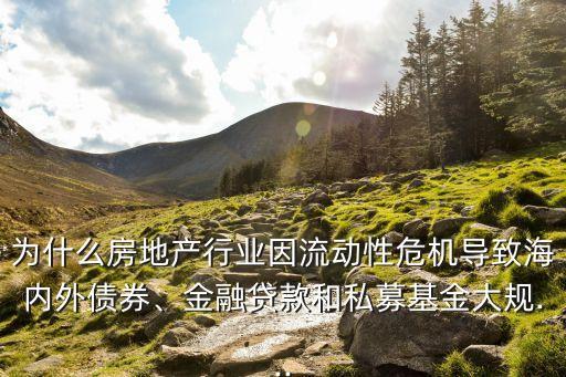 為什么房地產(chǎn)行業(yè)因流動(dòng)性危機(jī)導(dǎo)致海內(nèi)外債券、金融貸款和私募基金大規(guī)...